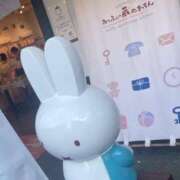 さくら 合言葉🌸 わちゃわちゃ密着リアルフルーちゅ西船橋