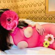 ヒメ日記 2025/05/01 22:17 投稿 ゆりな 逢って30秒で即尺