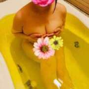 ヒメ日記 2025/07/26 12:54 投稿 ゆりな 逢って30秒で即尺