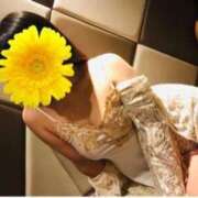 ヒメ日記 2025/08/13 22:39 投稿 ゆりな 逢って30秒で即尺