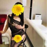 ヒメ日記 2025/12/17 15:33 投稿 ゆりな 逢って30秒で即尺