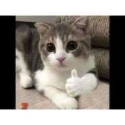 ヒメ日記 2025/11/13 16:05 投稿 星野まや まつど回春エステ