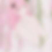 ヒメ日記 2025/07/17 06:15 投稿 あかね かりんとplus　上野御徒町