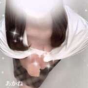 ヒメ日記 2025/08/09 21:22 投稿 あかね かりんとplus　上野御徒町