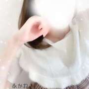 ヒメ日記 2025/08/20 08:28 投稿 あかね かりんとplus　上野御徒町