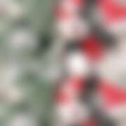 ヒメ日記 2025/12/25 23:55 投稿 あかね かりんとplus　上野御徒町