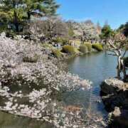ヒメ日記 2026/04/04 09:02 投稿 中里かすみ 川崎南町 素敵な奥様（川崎ハレ系）