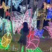 ヒメ日記 2025/11/14 09:46 投稿 ここ クラブハートDX