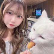 ヒメ日記 2026/02/21 20:20 投稿 ここ クラブハートDX