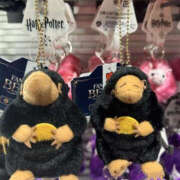 ヒメ日記 2025/11/12 00:09 投稿 みく eroina