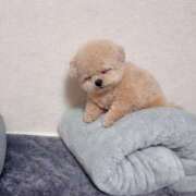 みく 生存確認📢 eroina