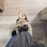 みく よれよれだ🫠 eroina