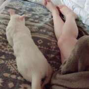 ヒメ日記 2025/09/16 22:25 投稿 なのは☆アナル処女ご奉仕若奥様☆ PREMIUM萌え可愛いチョコレート～全てのステージで感動の体験を～