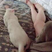 ヒメ日記 2025/11/14 16:44 投稿 なのは☆アナル処女ご奉仕若奥様☆ PREMIUM萌え可愛いチョコレート～全てのステージで感動の体験を～