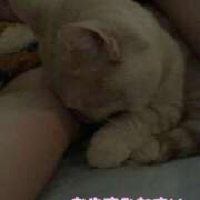 ヒメ日記 2025/11/29 01:02 投稿 なのは☆アナル処女ご奉仕若奥様☆ PREMIUM萌え可愛いチョコレート～全てのステージで感動の体験を～