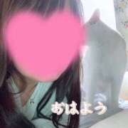 ヒメ日記 2026/03/13 07:50 投稿 なのは☆アナル処女ご奉仕若奥様☆ PREMIUM萌え可愛いチョコレート～全てのステージで感動の体験を～