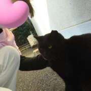 ヒメ日記 2025/03/25 22:40 投稿 みやび☆可愛い潮吹き超敏感M娘☆ PREMIUM萌え可愛いチョコレート～全てのステージで感動の体験を～