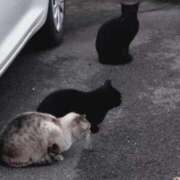 ヒメ日記 2025/06/15 11:31 投稿 みやび☆可愛い潮吹き超敏感M娘☆ PREMIUM萌え可愛いチョコレート～全てのステージで感動の体験を～