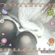 ヒメ日記 2025/02/03 17:45 投稿 あまね先生 DANDY BODY