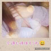 ヒメ日記 2025/02/18 17:50 投稿 あまね先生 DANDY BODY