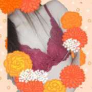 ヒメ日記 2025/02/22 23:40 投稿 あまね先生 DANDY BODY