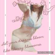 ヒメ日記 2025/03/24 23:50 投稿 あまね先生 DANDY BODY