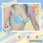 ヒメ日記 2025/04/07 19:40 投稿 あまね先生 DANDY BODY