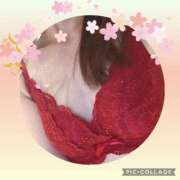 ヒメ日記 2025/04/10 18:10 投稿 あまね先生 DANDY BODY