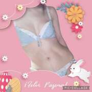 ヒメ日記 2025/04/17 17:40 投稿 あまね先生 DANDY BODY