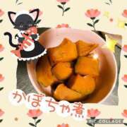 ヒメ日記 2025/04/21 17:55 投稿 あまね先生 DANDY BODY