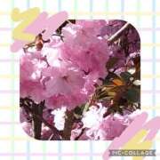 ヒメ日記 2025/05/06 23:55 投稿 あまね先生 DANDY BODY