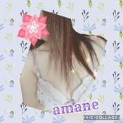 ヒメ日記 2025/06/07 00:25 投稿 あまね先生 DANDY BODY