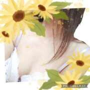 ヒメ日記 2025/08/07 19:05 投稿 あまね先生 DANDY BODY