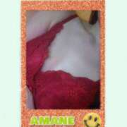 ヒメ日記 2025/09/02 14:15 投稿 あまね先生 DANDY BODY