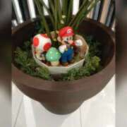 あまね先生 出勤してます DANDY BODY