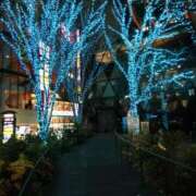 ヒメ日記 2024/12/24 15:13 投稿 りず 熟女家 十三店