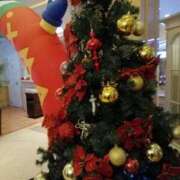 ヒメ日記 2025/11/15 14:29 投稿 りず 熟女家 十三店