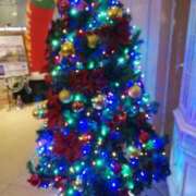 ヒメ日記 2025/11/27 14:53 投稿 りず 熟女家 十三店