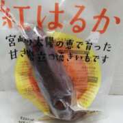 ヒメ日記 2026/02/15 12:07 投稿 りず 熟女家 十三店