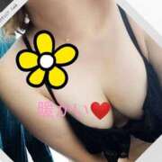 ヒメ日記 2026/02/22 12:52 投稿 りず 熟女家 十三店