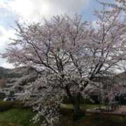 ヒメ日記 2026/04/03 17:07 投稿 りず 熟女家 十三店