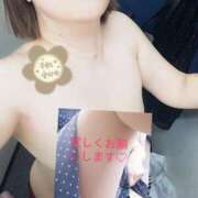 ヒメ日記 2026/04/12 08:54 投稿 りず 熟女家 十三店