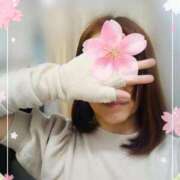 ヒメ日記 2025/04/05 15:37 投稿 しほ 熟女家 梅田店