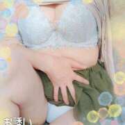 ヒメ日記 2025/04/06 00:17 投稿 しほ 熟女家 梅田店