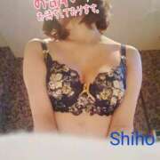 ヒメ日記 2025/09/10 21:26 投稿 しほ 熟女家 梅田店