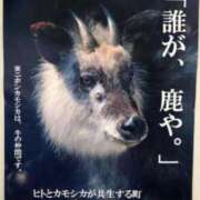 ヒメ日記 2025/09/22 20:37 投稿 しほ 熟女家 梅田店