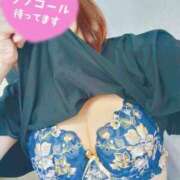 ヒメ日記 2025/10/18 22:32 投稿 しほ 熟女家 梅田店