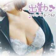 ヒメ日記 2026/03/01 07:57 投稿 しほ 熟女家 梅田店