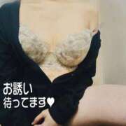 ヒメ日記 2026/03/01 13:27 投稿 しほ 熟女家 梅田店