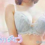 ヒメ日記 2026/03/04 16:07 投稿 しほ 熟女家 梅田店